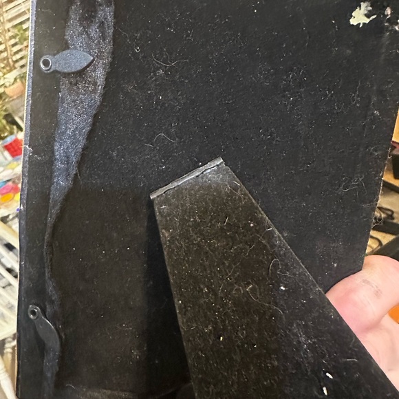 Unique Rare Pressed Flowers and Genuine Butterfly taxonomy Floral Art. - Picture 9 of 12